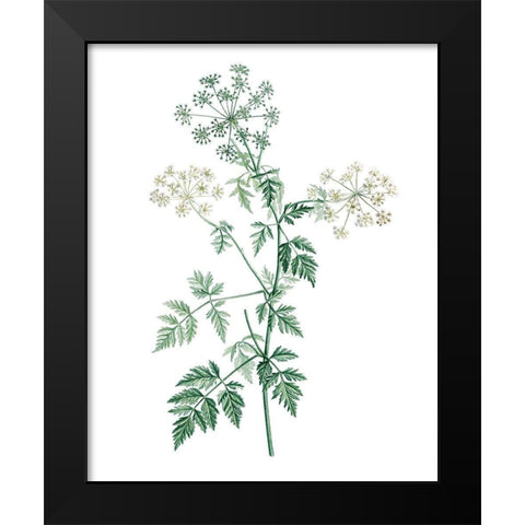 Soft Green Botanical II Black Modern Wood Framed Art Print by Vision Studio