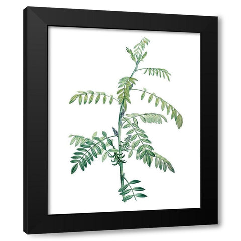 Soft Green Botanical III Black Modern Wood Framed Art Print by Vision Studio