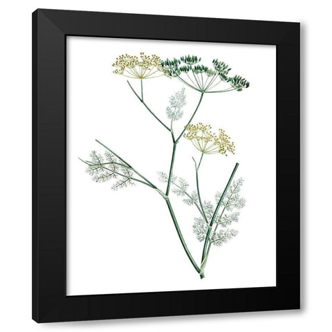 Soft Green Botanical IV Black Modern Wood Framed Art Print by Vision Studio