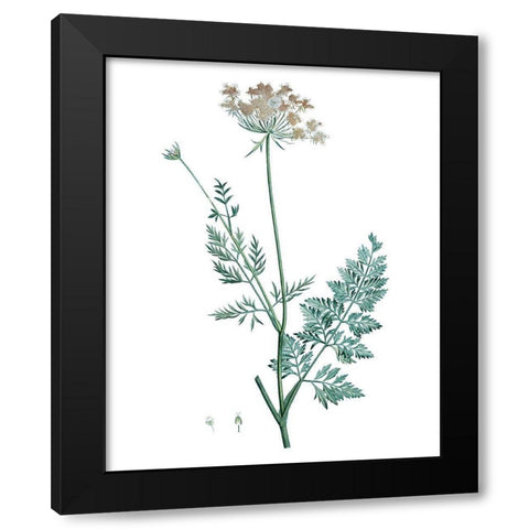 Soft Green Botanical V Black Modern Wood Framed Art Print with Double Matting by Vision Studio