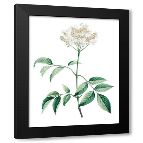 Soft Green Botanical VI Black Modern Wood Framed Art Print with Double Matting by Vision Studio