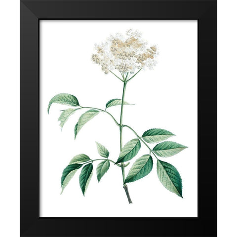 Soft Green Botanical VI Black Modern Wood Framed Art Print by Vision Studio