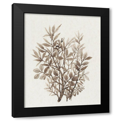 Leaf Arrangement IV Black Modern Wood Framed Art Print with Double Matting by OToole, Tim