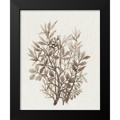 Leaf Arrangement IV Black Modern Wood Framed Art Print by OToole, Tim