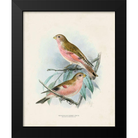 Antique Birds IV Black Modern Wood Framed Art Print by Unknown