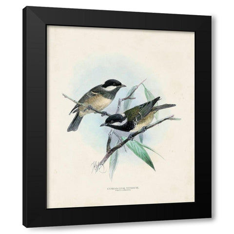 Antique Birds VII Black Modern Wood Framed Art Print with Double Matting by Unknown