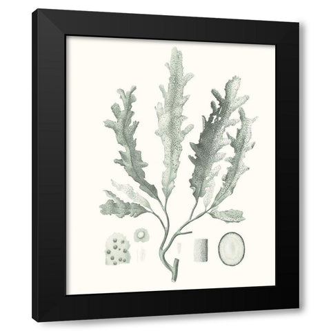 Sage Green Seaweed I Black Modern Wood Framed Art Print with Double Matting by Vision Studio