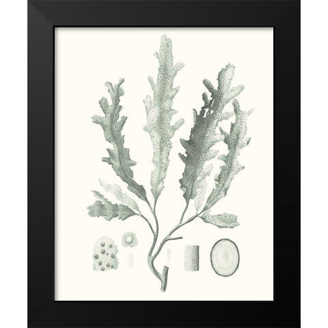 Sage Green Seaweed I Black Modern Wood Framed Art Print by Vision Studio
