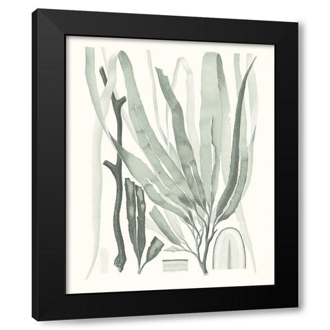 Sage Green Seaweed II Black Modern Wood Framed Art Print by Vision Studio