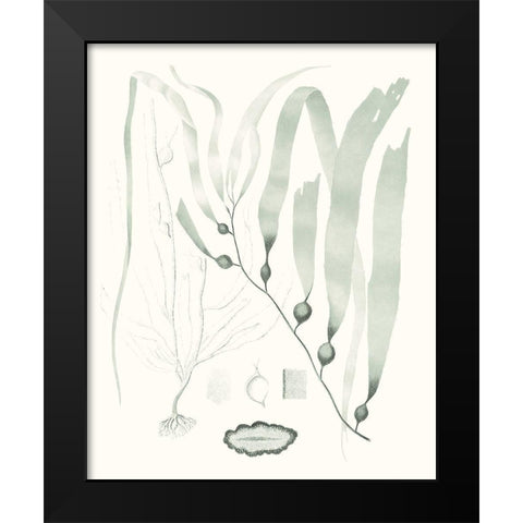 Sage Green Seaweed III Black Modern Wood Framed Art Print by Vision Studio