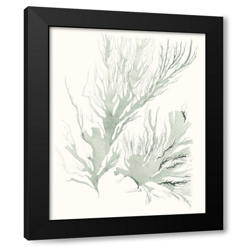 Sage Green Seaweed IV Black Modern Wood Framed Art Print by Vision Studio