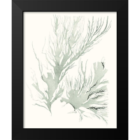 Sage Green Seaweed IV Black Modern Wood Framed Art Print by Vision Studio