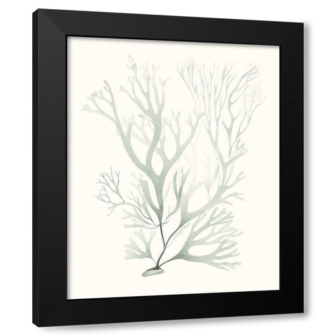 Sage Green Seaweed V Black Modern Wood Framed Art Print with Double Matting by Vision Studio