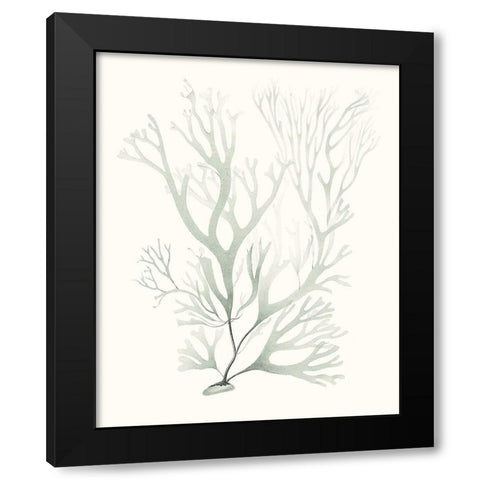Sage Green Seaweed V Black Modern Wood Framed Art Print by Vision Studio