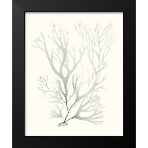 Sage Green Seaweed V Black Modern Wood Framed Art Print by Vision Studio