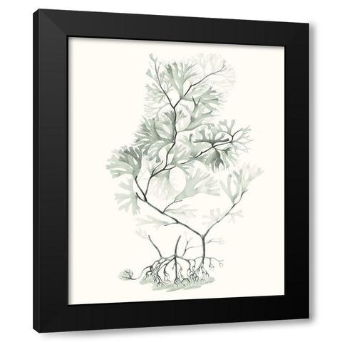 Sage Green Seaweed VI Black Modern Wood Framed Art Print by Vision Studio