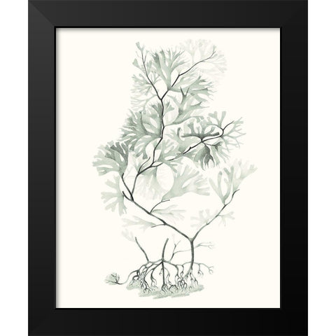 Sage Green Seaweed VI Black Modern Wood Framed Art Print by Vision Studio