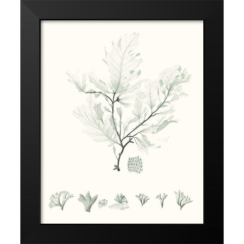 Sage Green Seaweed VII Black Modern Wood Framed Art Print by Vision Studio