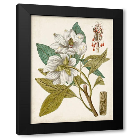 Vintage Charm I Black Modern Wood Framed Art Print with Double Matting by Vision Studio