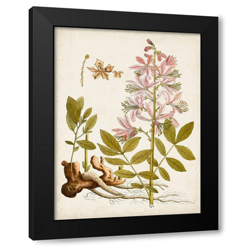 Vintage Charm II Black Modern Wood Framed Art Print with Double Matting by Vision Studio