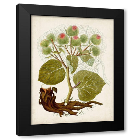 Vintage Charm III Black Modern Wood Framed Art Print with Double Matting by Vision Studio
