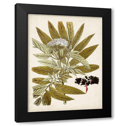 Vintage Charm V Black Modern Wood Framed Art Print with Double Matting by Vision Studio