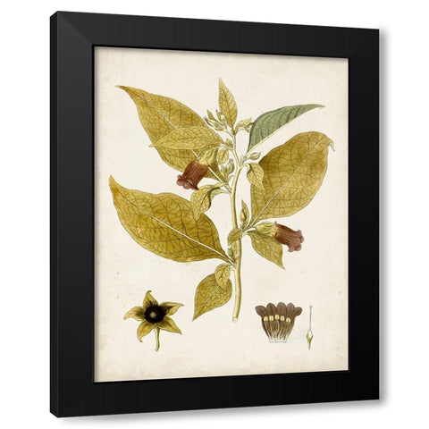 Vintage Charm VI Black Modern Wood Framed Art Print by Vision Studio