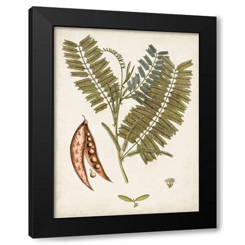 Vintage Charm VII Black Modern Wood Framed Art Print with Double Matting by Vision Studio