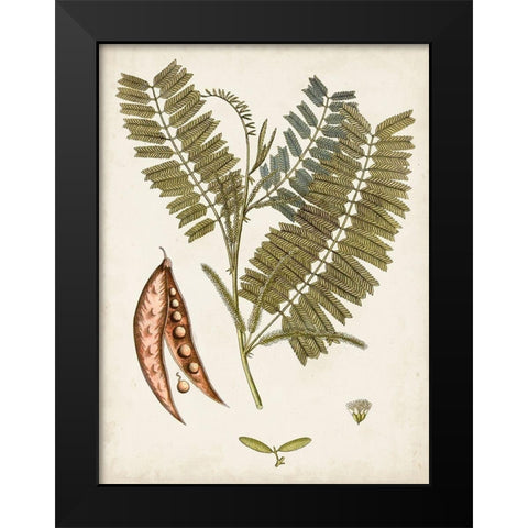 Vintage Charm VII Black Modern Wood Framed Art Print by Vision Studio