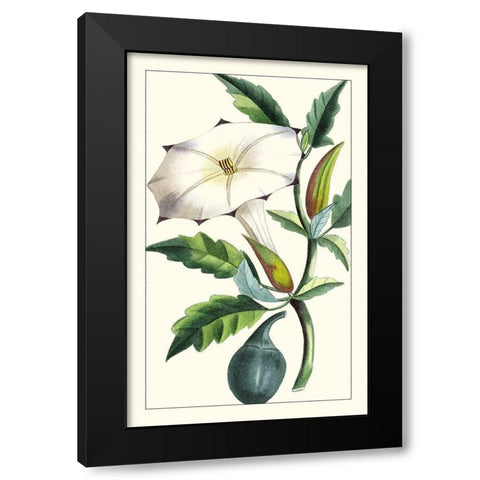 Turpin Exotic Botanical I Black Modern Wood Framed Art Print by Turpin