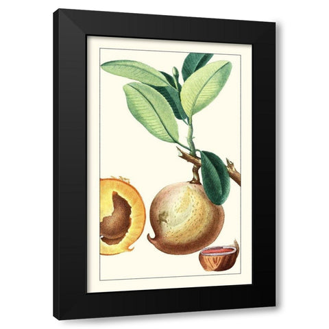 Turpin Exotic Botanical II Black Modern Wood Framed Art Print with Double Matting by Turpin