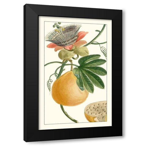 Turpin Exotic Botanical III Black Modern Wood Framed Art Print by Turpin