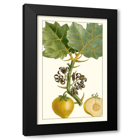 Turpin Exotic Botanical IV Black Modern Wood Framed Art Print with Double Matting by Turpin
