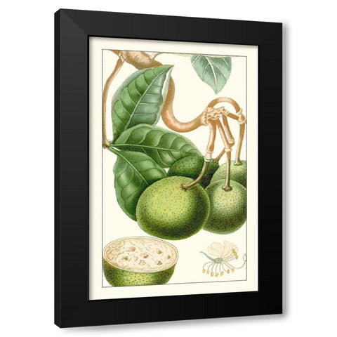 Turpin Exotic Botanical VI Black Modern Wood Framed Art Print with Double Matting by Turpin