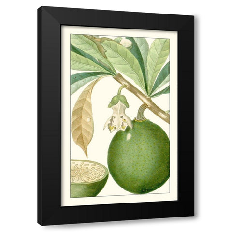 Turpin Exotic Botanical VIII Black Modern Wood Framed Art Print by Turpin