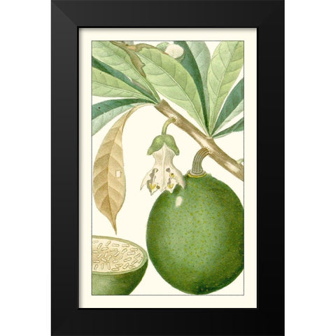 Turpin Exotic Botanical VIII Black Modern Wood Framed Art Print by Turpin