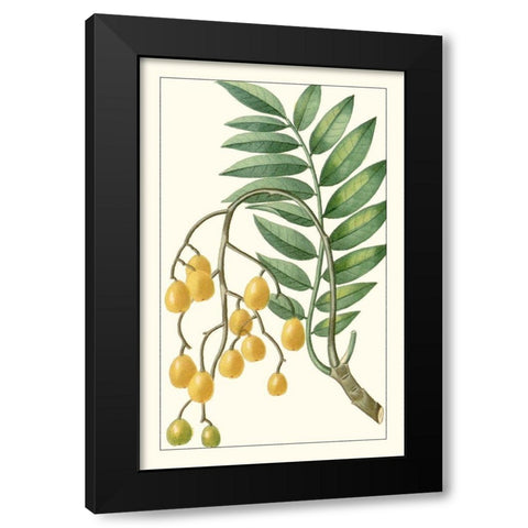 Turpin Exotic Botanical IX Black Modern Wood Framed Art Print with Double Matting by Turpin