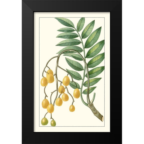 Turpin Exotic Botanical IX Black Modern Wood Framed Art Print by Turpin