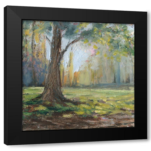 Custom Path to the Tree I Black Modern Wood Framed Art Print with Double Matting by Iafrate, Sandra