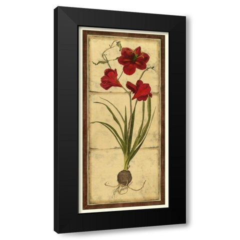 Amaryllis Panel I Black Modern Wood Framed Art Print by Vision Studio