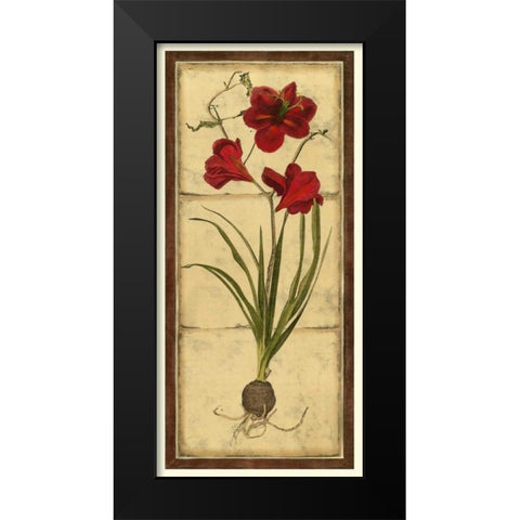 Amaryllis Panel I Black Modern Wood Framed Art Print by Vision Studio