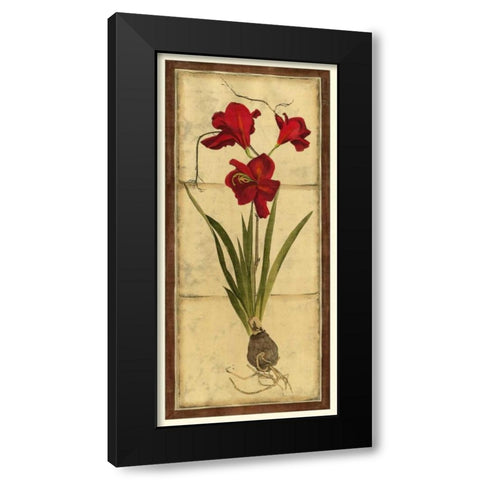 Amaryllis Panel II Black Modern Wood Framed Art Print with Double Matting by Vision Studio