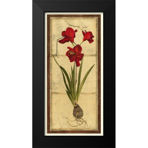 Amaryllis Panel II Black Modern Wood Framed Art Print by Vision Studio