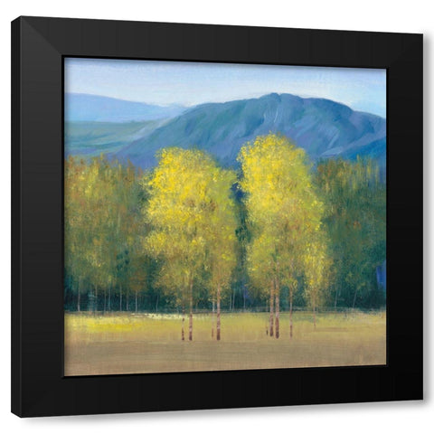 Shaft of Light II Black Modern Wood Framed Art Print with Double Matting by OToole, Tim