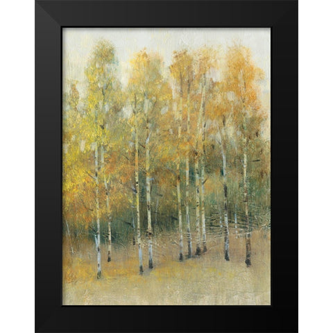 Woodland Edge IV Black Modern Wood Framed Art Print by OToole, Tim