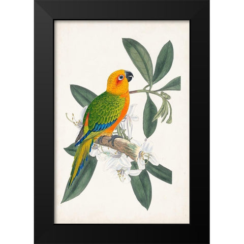 UA Tropical Bird and Flower I Black Modern Wood Framed Art Print by Vision Studio