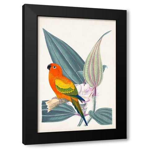 UA Tropical Bird and Flower IV Black Modern Wood Framed Art Print by Vision Studio
