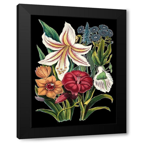 Garden Gathering V Black Modern Wood Framed Art Print with Double Matting by Unknown