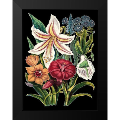 Garden Gathering V Black Modern Wood Framed Art Print by Unknown