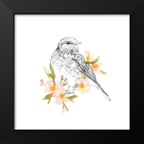 Robin Sketch I Black Modern Wood Framed Art Print by Scarvey, Emma